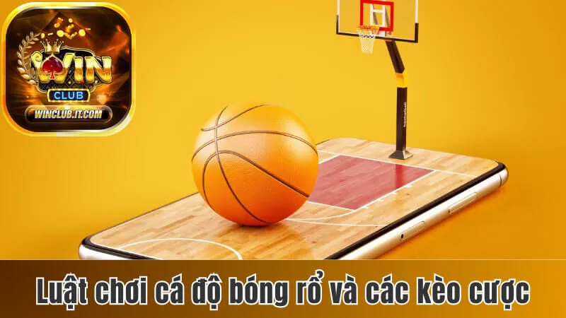 Cá độ bóng rổ