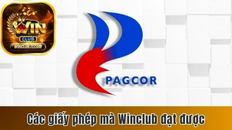 Các giấy phép mà Winclub đạt được