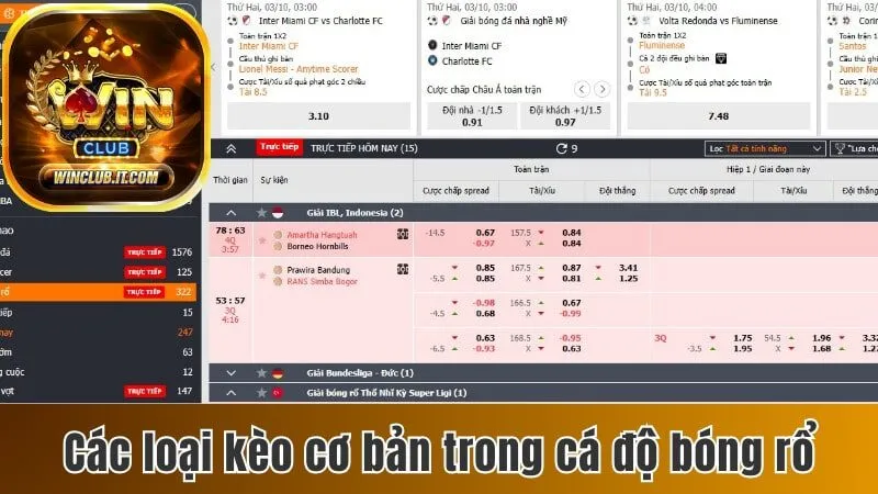 Luật Chơi Cá Độ Bóng Rổ - Giới Thiệu Các Kèo Cược Đặc Biệt 3 Các loại kèo cơ bản nhất trong cá độ bóng rổ