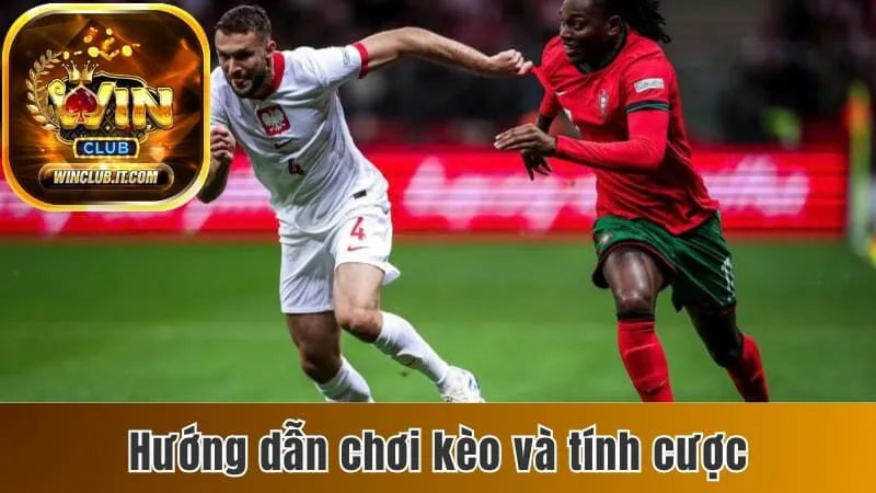 Cách Xem Kèo Giao Bóng Chuẩn Và Nhận Định Kèo Chính Xác 3 Cách đặt cược và quy tắc tính tiền trong kèo giao banh