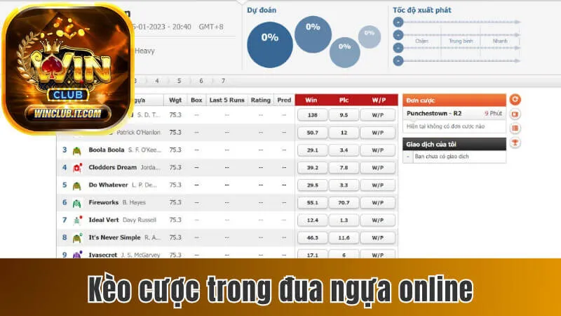 Đua Ngựa Online - Quy Tắc, Kèo Cược và Luật Thanh Toán 3 Giới thiệu những kèo cược trong đua ngựa online