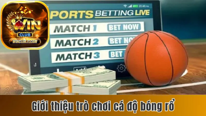 Luật Chơi Cá Độ Bóng Rổ - Giới Thiệu Các Kèo Cược Đặc Biệt 2 Một số thông tin về cá độ bóng rổ