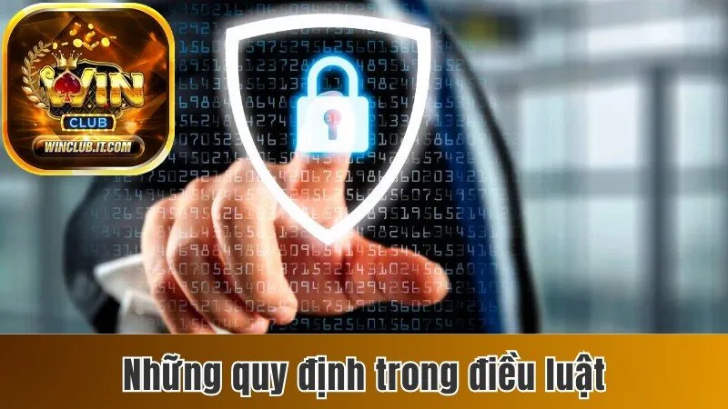 Chính Sách Quyền Riêng Tư Dành Cho Hội Viên Tại Winclub 2 Những quy định trong điều luật