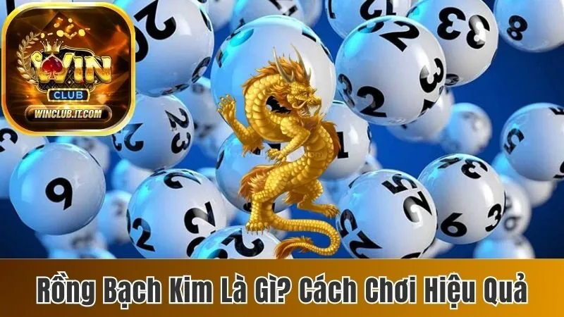 Rồng bạch kim là gì