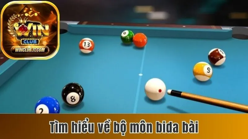 Luật Chơi Bida Đánh Bài Và Những Kinh Nghiệm Chơi Hay 2 Tìm hiểu về bộ môn bida bài